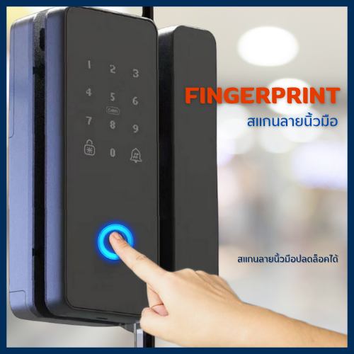 Digital Door Lock ECO รุ่น BASIC